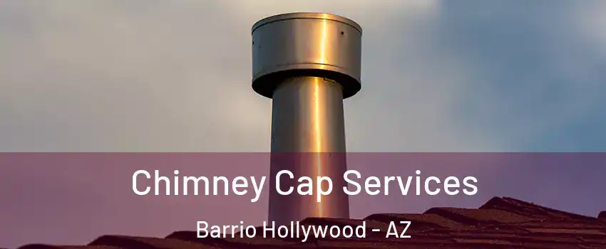 Chimney Cap Services Barrio Hollywood - AZ