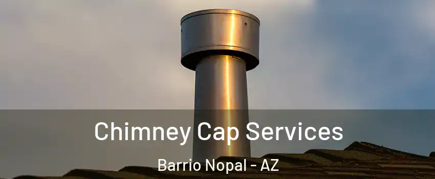 Chimney Cap Services Barrio Nopal - AZ