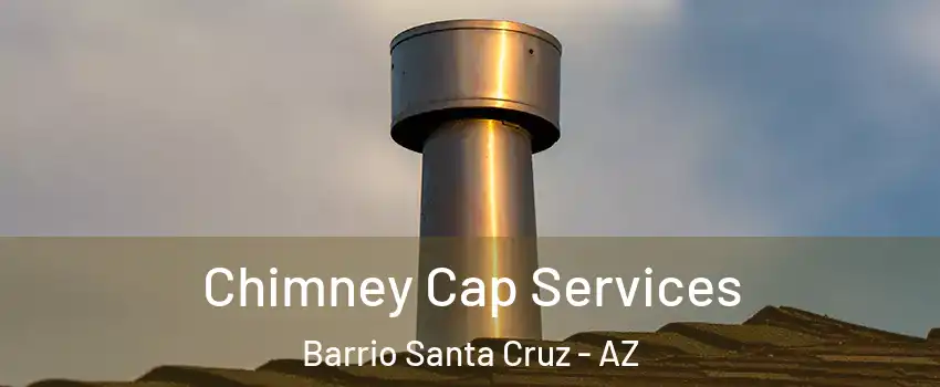 Chimney Cap Services Barrio Santa Cruz - AZ