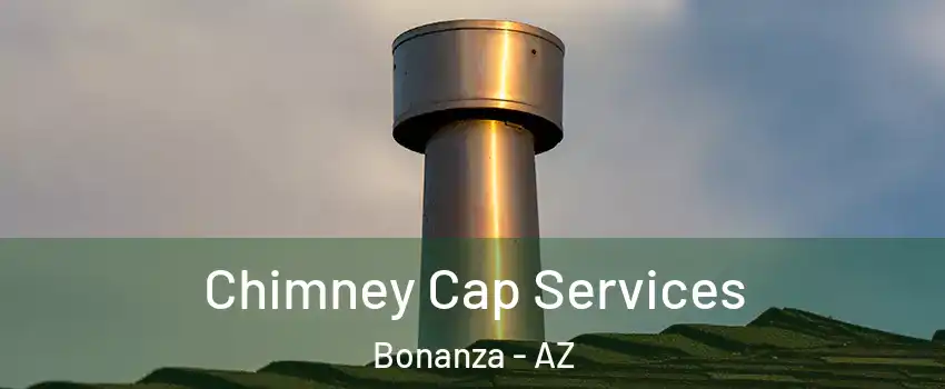 Chimney Cap Services Bonanza - AZ
