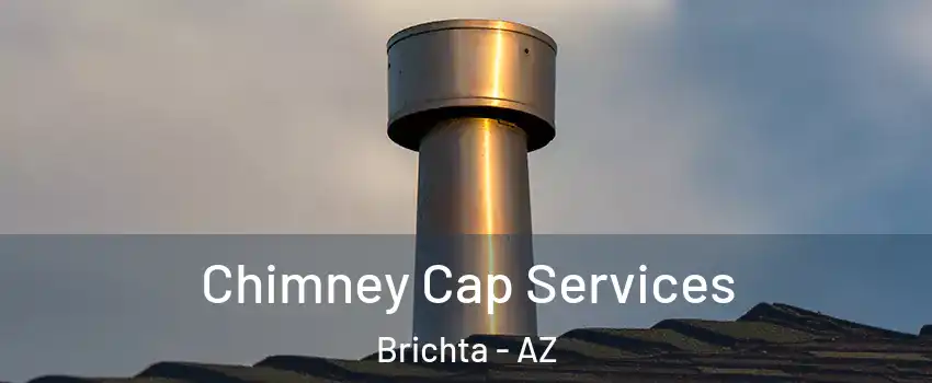 Chimney Cap Services Brichta - AZ