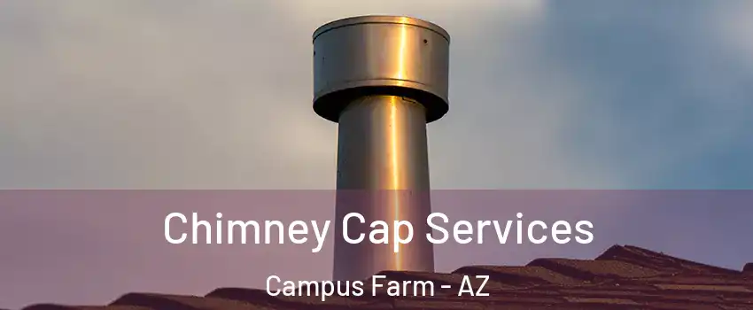 Chimney Cap Services Campus Farm - AZ