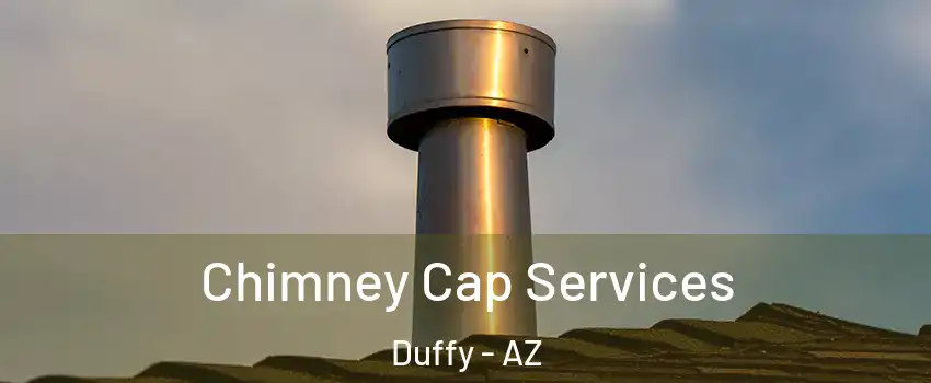 Chimney Cap Services Duffy - AZ