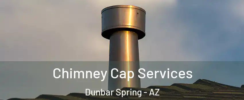 Chimney Cap Services Dunbar Spring - AZ