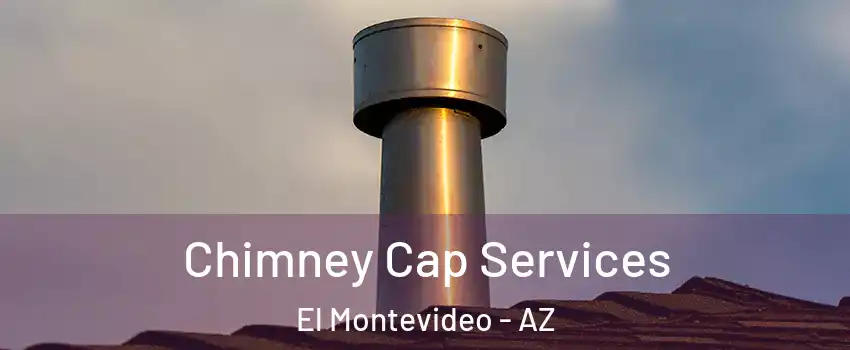 Chimney Cap Services El Montevideo - AZ