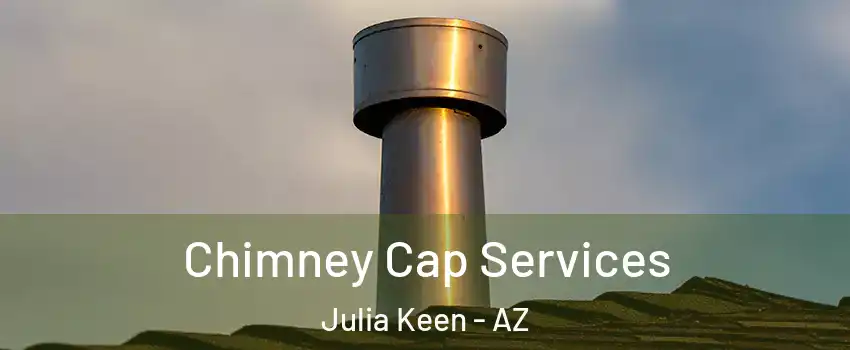 Chimney Cap Services Julia Keen - AZ