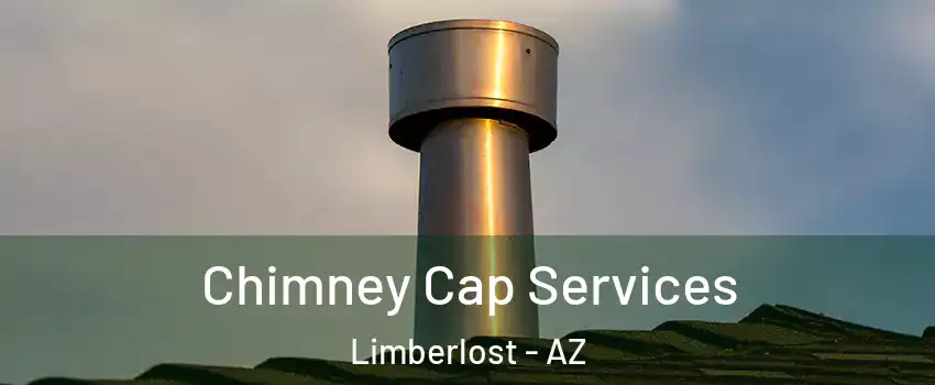 Chimney Cap Services Limberlost - AZ