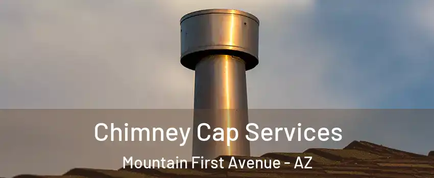 Chimney Cap Services Mountain First Avenue - AZ