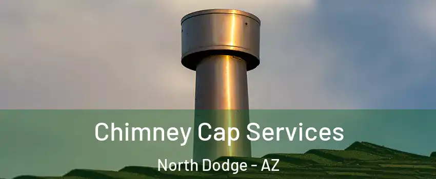 Chimney Cap Services North Dodge - AZ