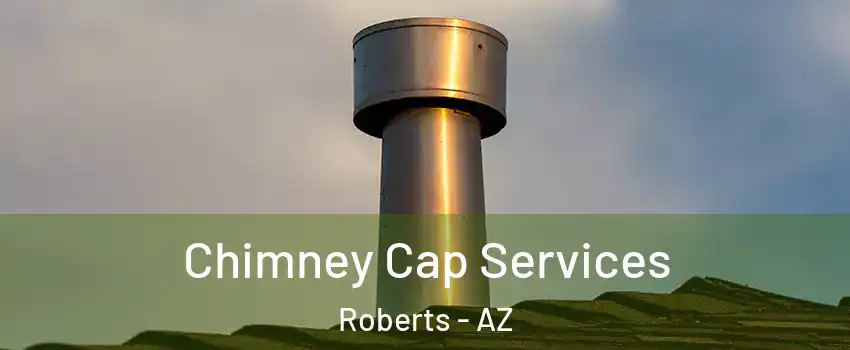 Chimney Cap Services Roberts - AZ