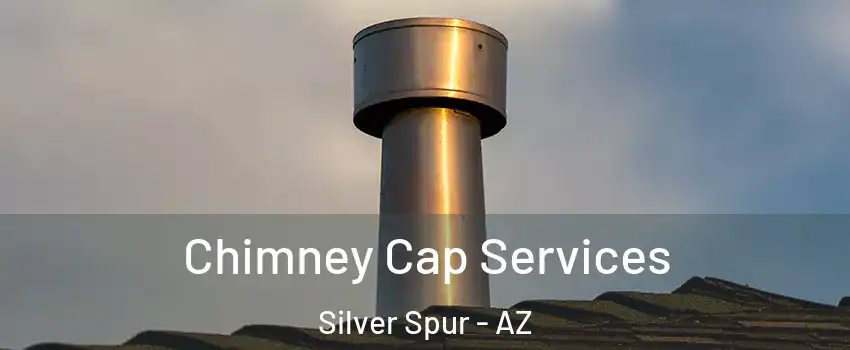 Chimney Cap Services Silver Spur - AZ