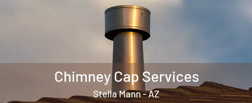 Chimney Cap Services Stella Mann - AZ