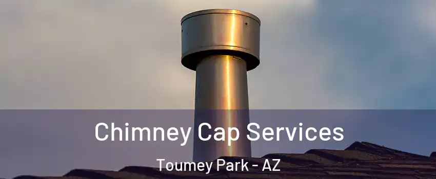 Chimney Cap Services Toumey Park - AZ