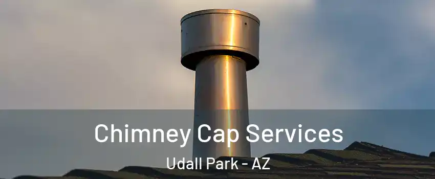 Chimney Cap Services Udall Park - AZ