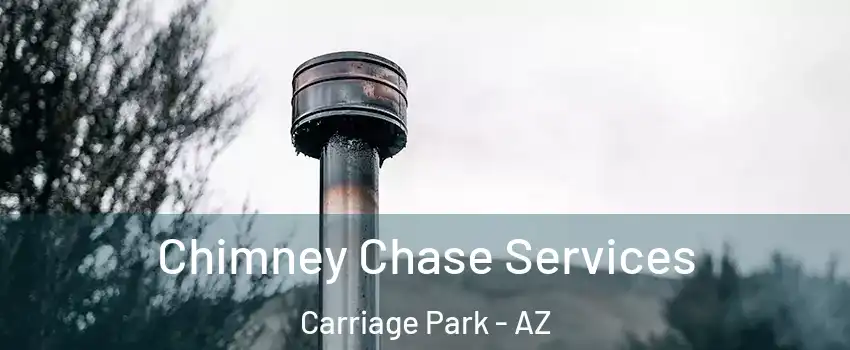 Chimney Chase Services Carriage Park - AZ