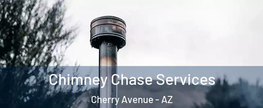 Chimney Chase Services Cherry Avenue - AZ