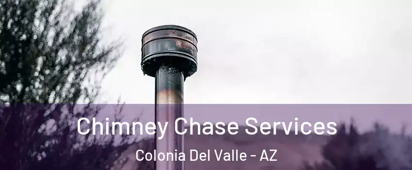 Chimney Chase Services Colonia Del Valle - AZ
