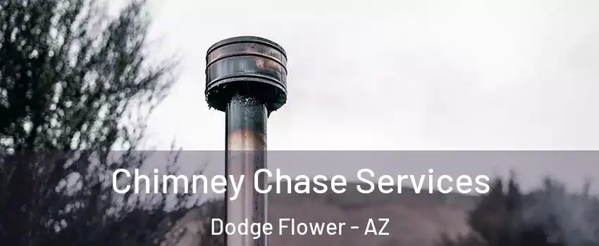 Chimney Chase Services Dodge Flower - AZ
