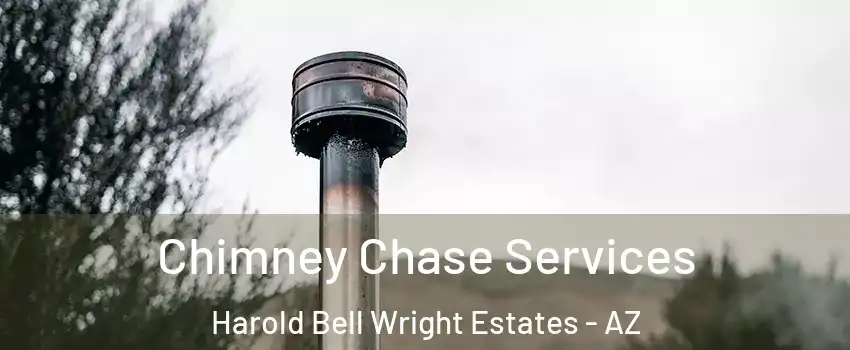 Chimney Chase Services Harold Bell Wright Estates - AZ