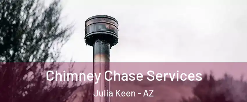 Chimney Chase Services Julia Keen - AZ