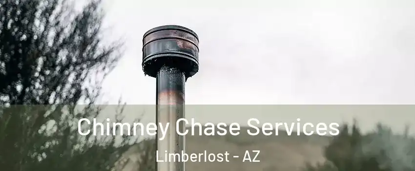 Chimney Chase Services Limberlost - AZ