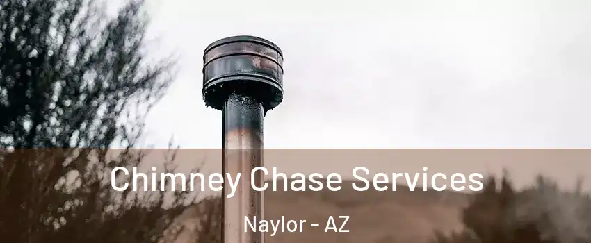 Chimney Chase Services Naylor - AZ