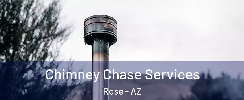 Chimney Chase Services Rose - AZ