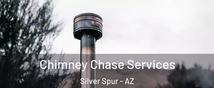 Chimney Chase Services Silver Spur - AZ