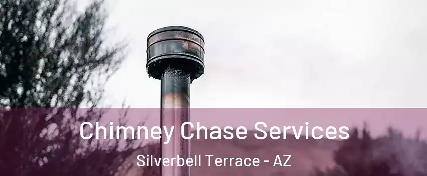 Chimney Chase Services Silverbell Terrace - AZ