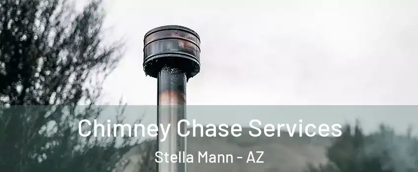 Chimney Chase Services Stella Mann - AZ