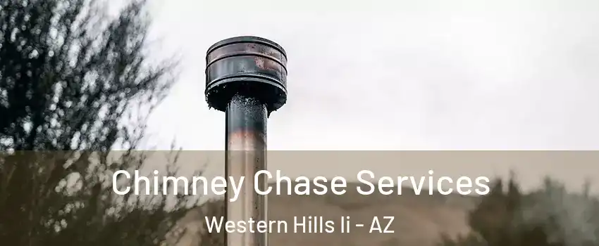 Chimney Chase Services Western Hills Ii - AZ