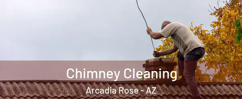 Chimney Cleaning Arcadia Rose - AZ
