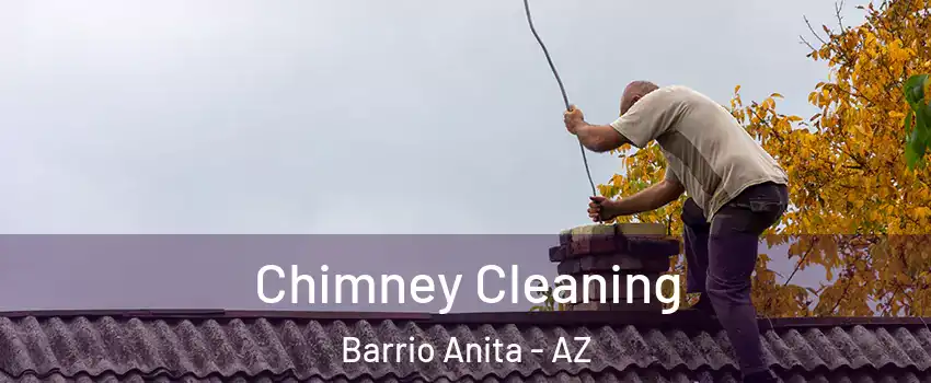 Chimney Cleaning Barrio Anita - AZ