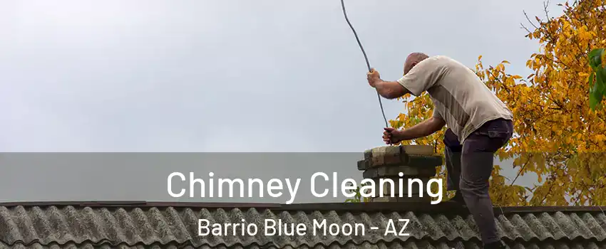 Chimney Cleaning Barrio Blue Moon - AZ