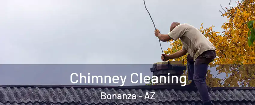 Chimney Cleaning Bonanza - AZ
