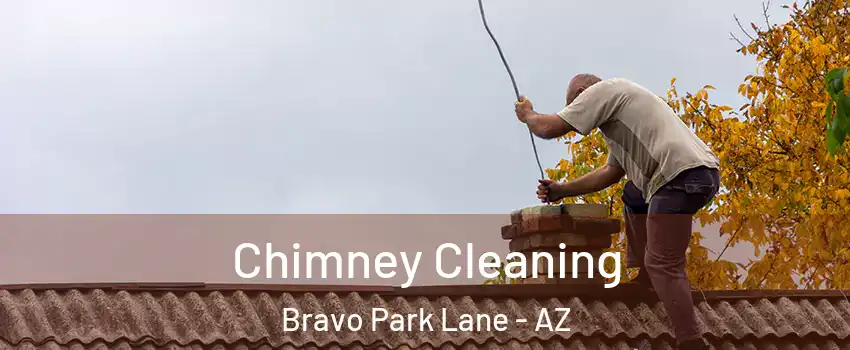 Chimney Cleaning Bravo Park Lane - AZ