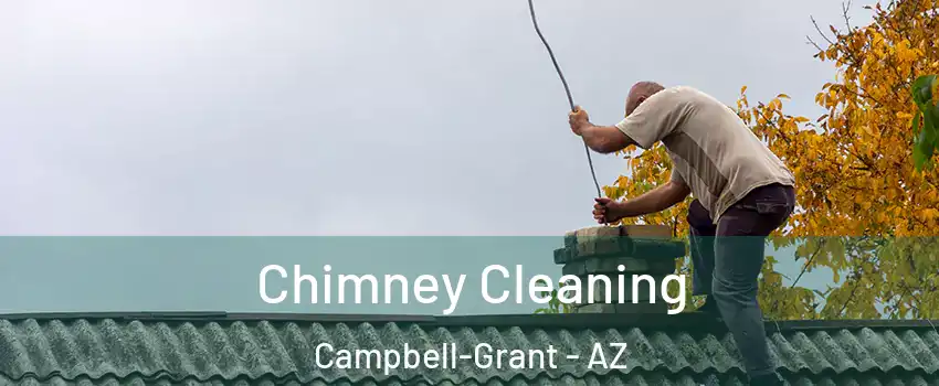 Chimney Cleaning Campbell-Grant - AZ