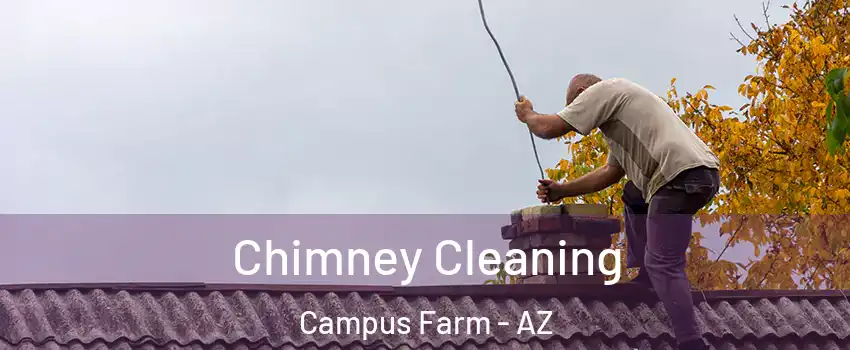 Chimney Cleaning Campus Farm - AZ