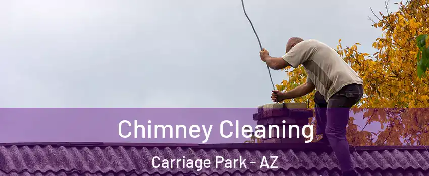 Chimney Cleaning Carriage Park - AZ