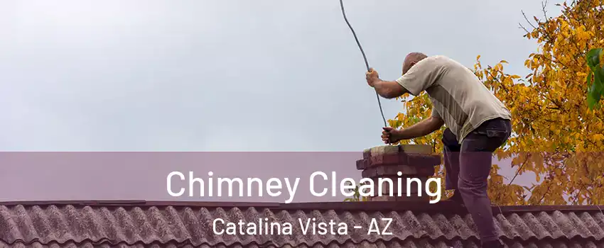 Chimney Cleaning Catalina Vista - AZ