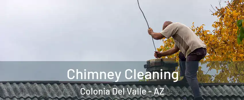 Chimney Cleaning Colonia Del Valle - AZ