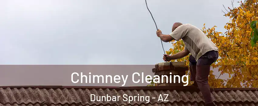 Chimney Cleaning Dunbar Spring - AZ