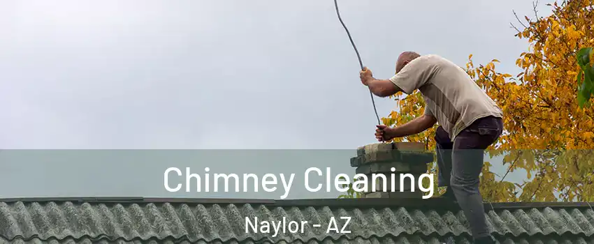 Chimney Cleaning Naylor - AZ