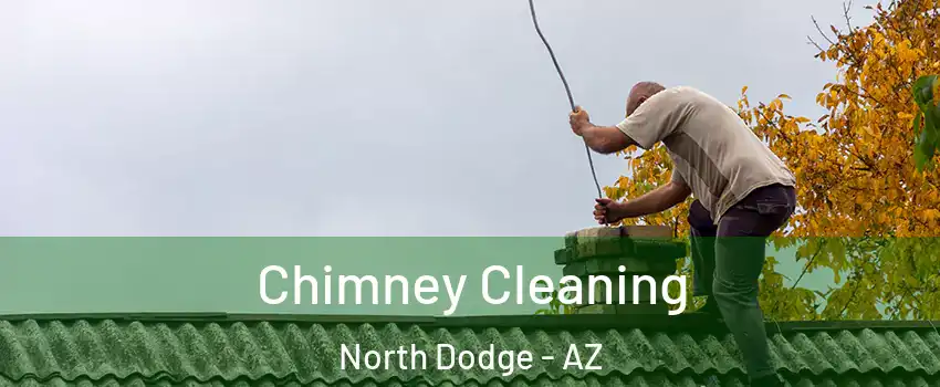 Chimney Cleaning North Dodge - AZ