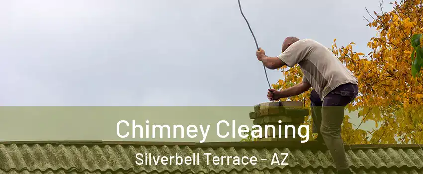 Chimney Cleaning Silverbell Terrace - AZ