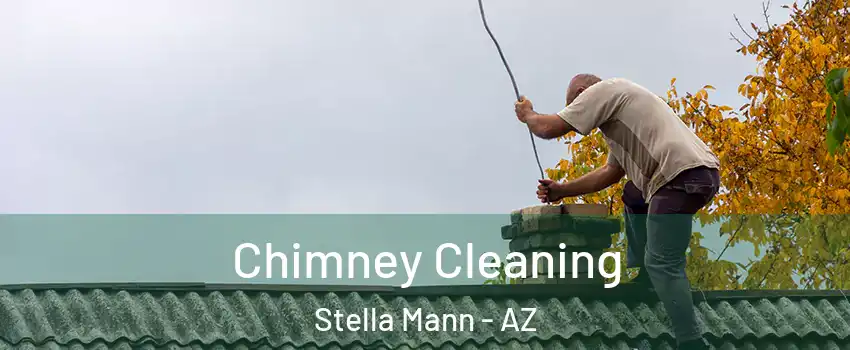Chimney Cleaning Stella Mann - AZ