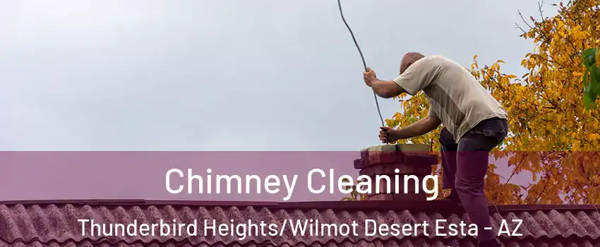 Chimney Cleaning Thunderbird Heights/Wilmot Desert Esta - AZ