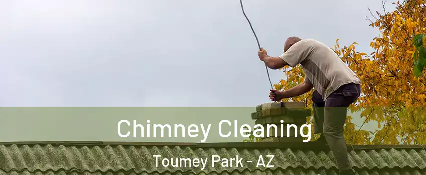 Chimney Cleaning Toumey Park - AZ