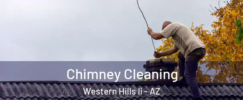 Chimney Cleaning Western Hills Ii - AZ