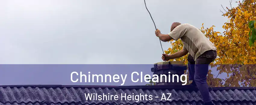 Chimney Cleaning Wilshire Heights - AZ